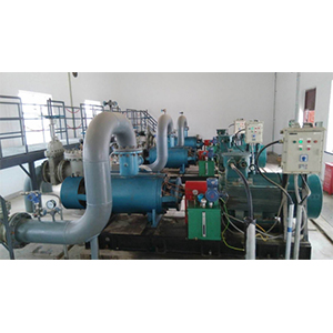 2GbSYQ 系列油氣水混輸螺桿圖二產(chǎn)品圖2